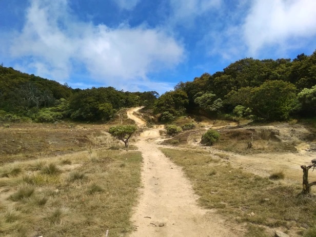 Hiking Gunung Welirang